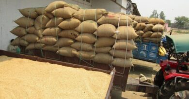 Wheat Rate In Uttarakhand