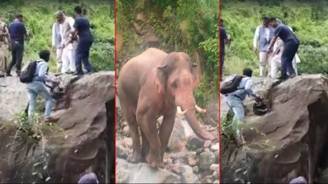 Trivendra Singh Rawat Elephant Attack