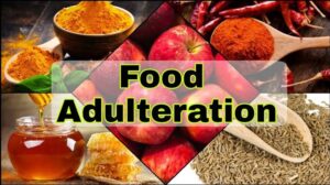 Adulterated Food In Uttarakhand : 