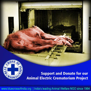 Animal Electric Crematorium :