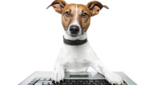 Dog Registration In Doon : 