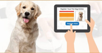 Dog Registration In Doon :